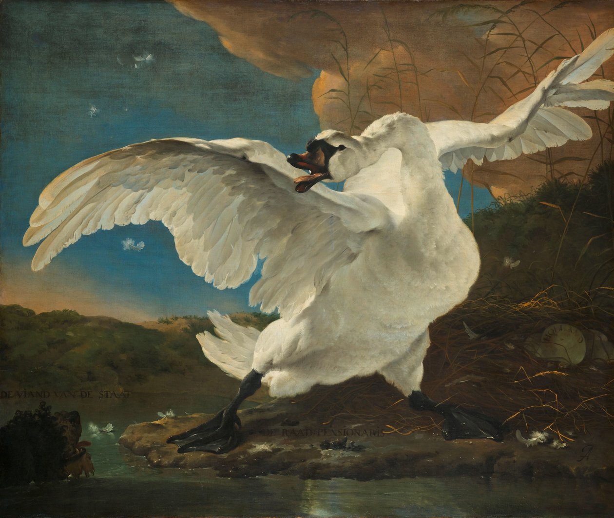 Der bedrohte Schwan von Jan Asselijn