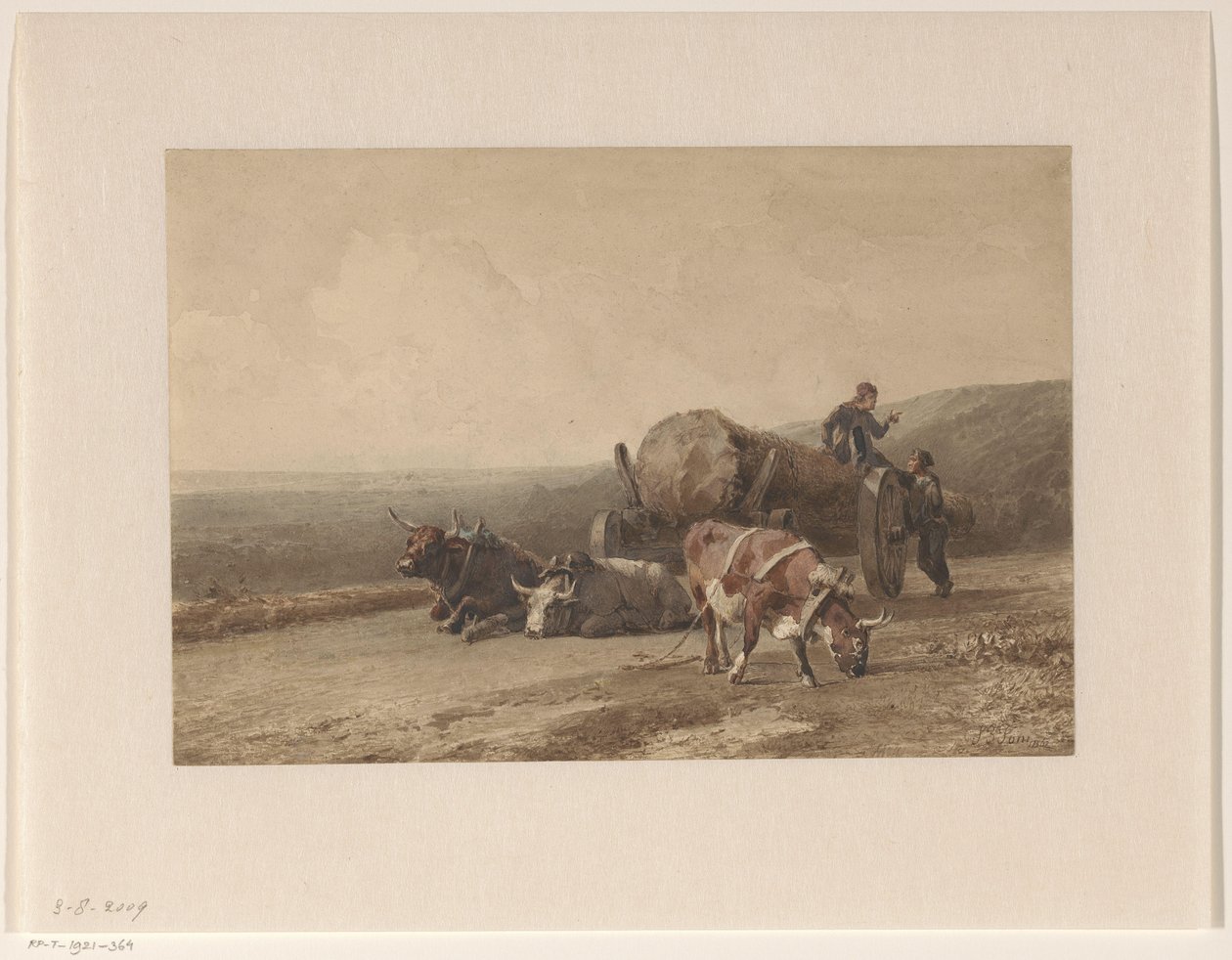 Ruhende Ochsen von Jan Bedijs Tom