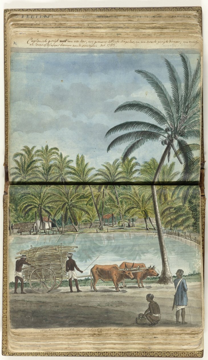 Ceylon-Landschaft mit einem Ochsenkarren, einem hockenden Singhalesen und einem schwarzen Gerichtsdiener von Jan Brandes
