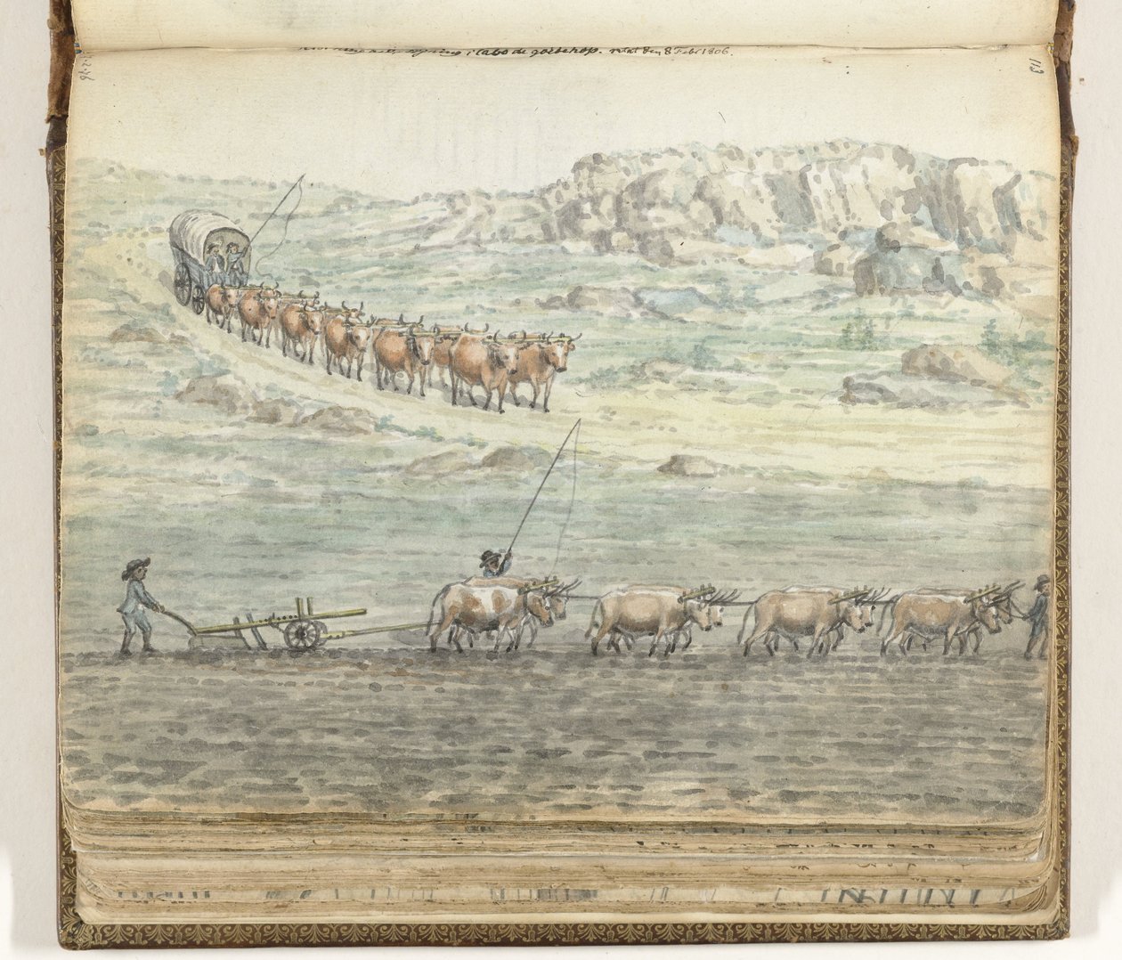 Ochsengespann vor Planwagen und Pflug von Jan Brandes