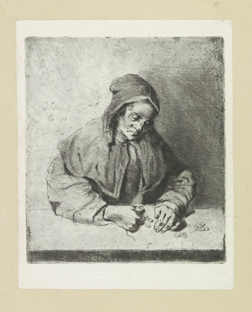 Frau, die Geld zählt von Jan Chalon