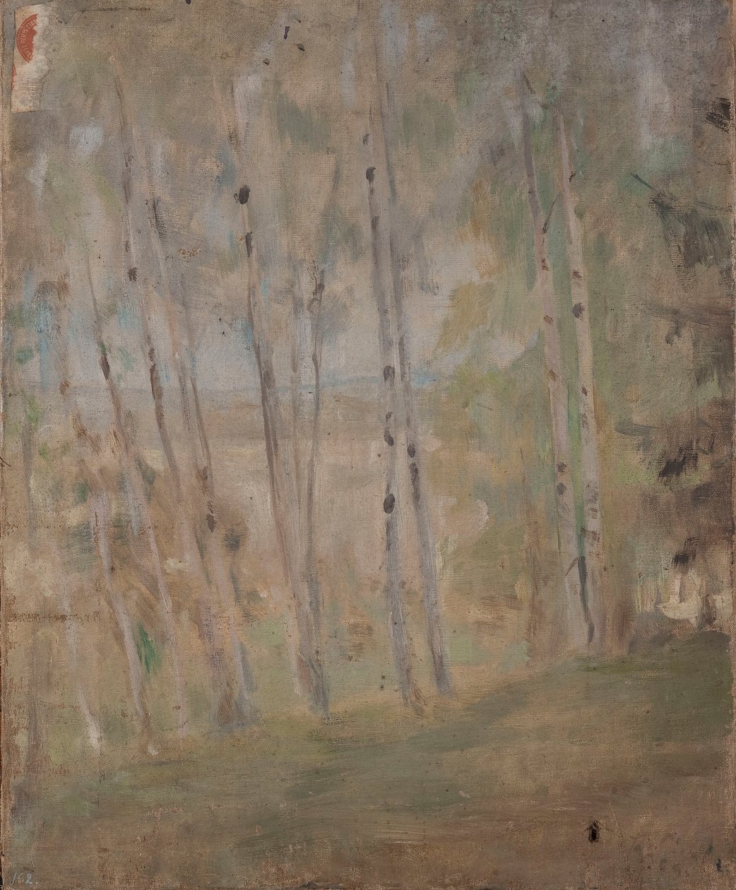 Mariino - Birken von Jan Ciągliński