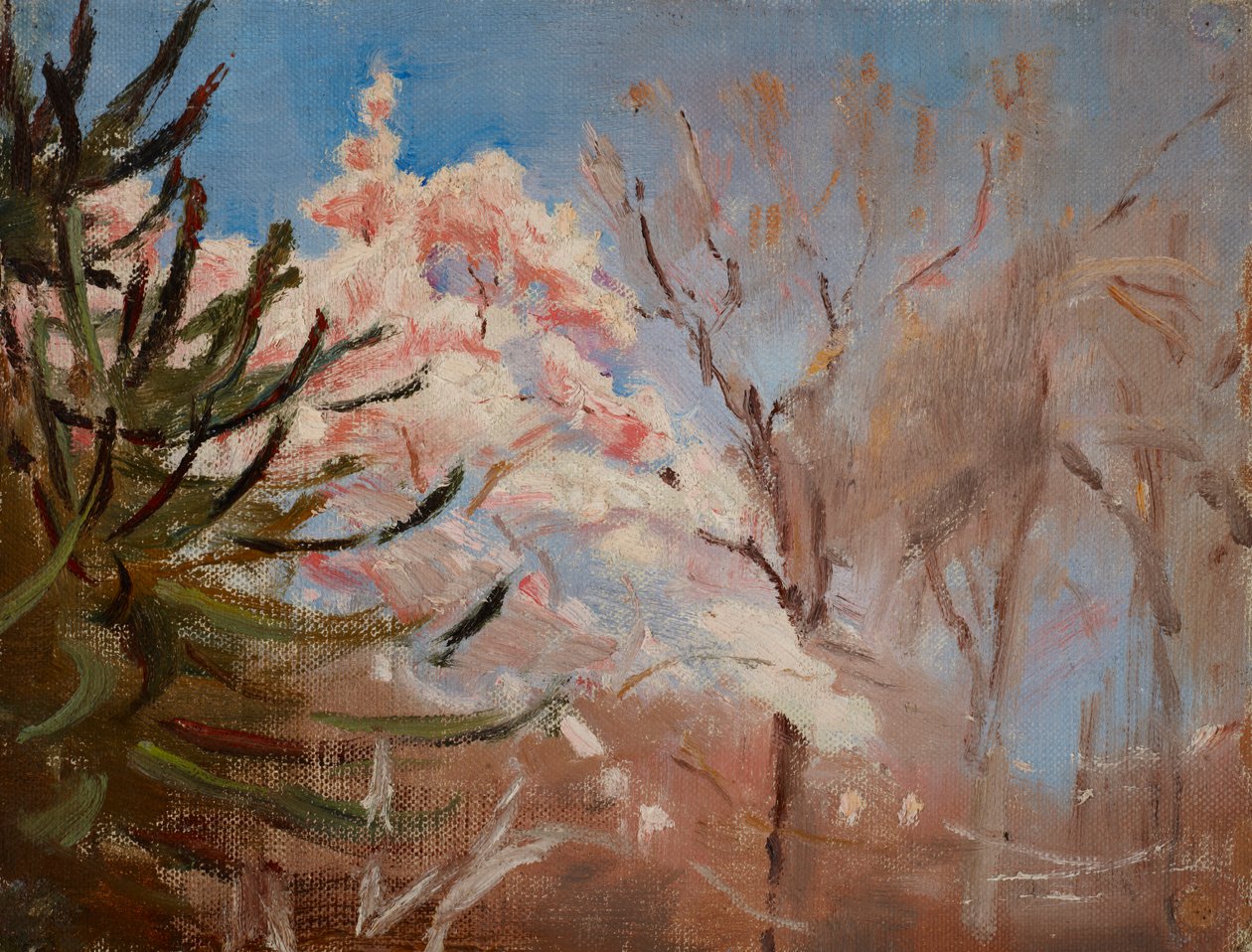Sudak (Frühling) von Jan Ciągliński