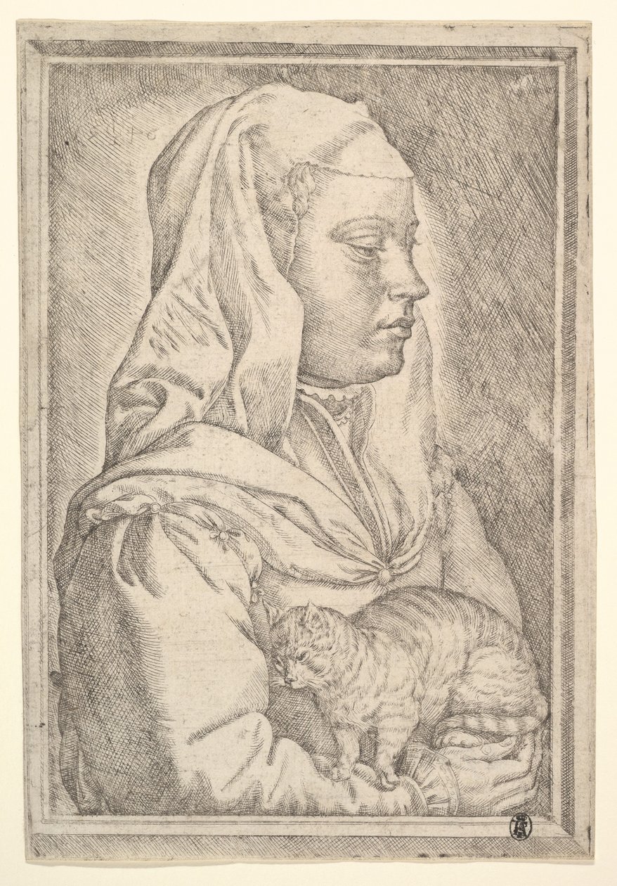 Mädchen mit einer Katze, 1546 von Jan Cornelisz Vermeyen
