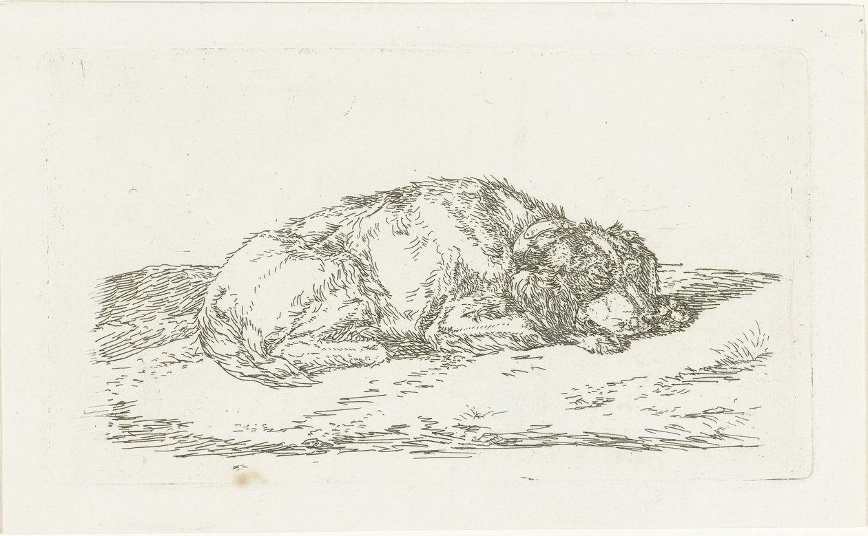 Schlafender Hund mit Kopf auf den Vorderpfoten ruhend von Jan Dasveldt