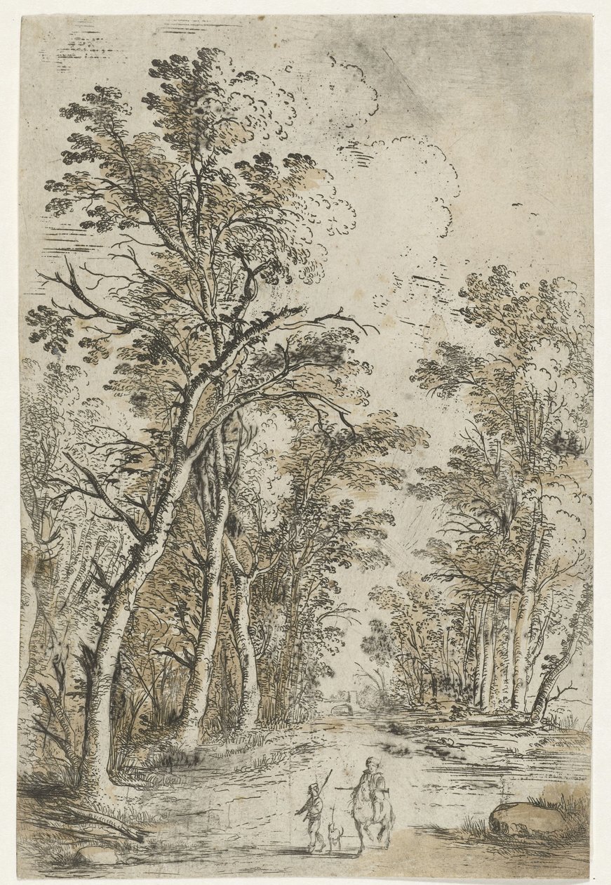 Waldweg von Jan Fouceel