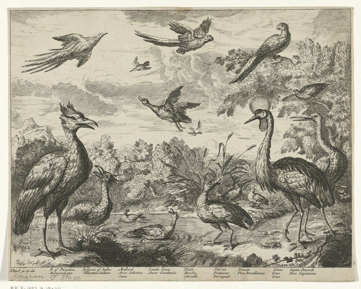 Verschiedene Vögel in einer Landschaft von Jan Griffier (I) (copy after)