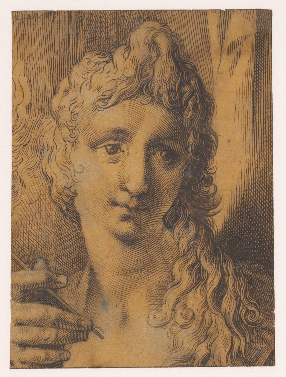 Kopf eines jungen Mannes oder einer jungen Frau, die einen Stichel (?) in der Hand hält von Jan Harmensz. Muller