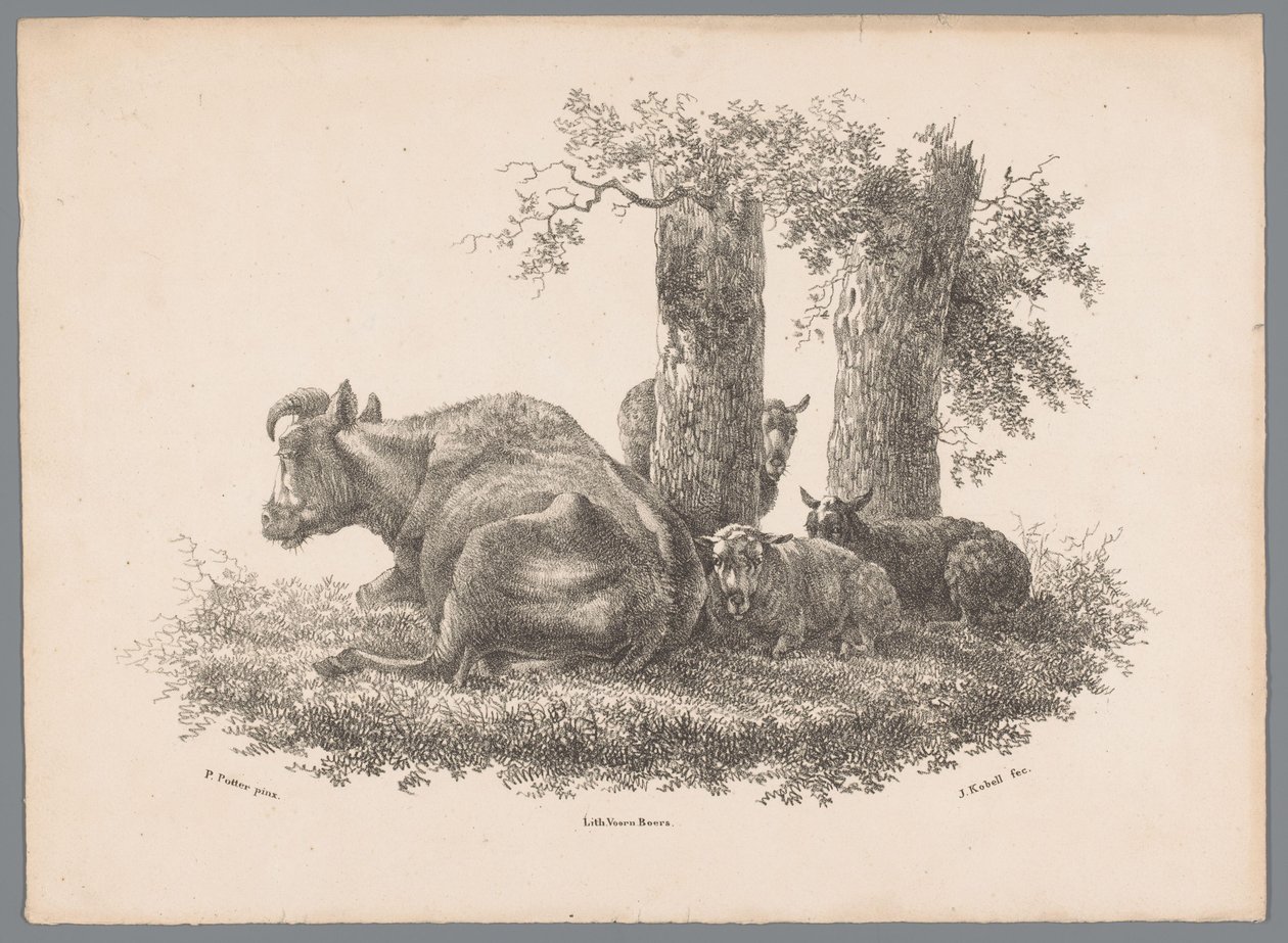 Eine Kuh und drei Schafe von Jan Kobell (III)