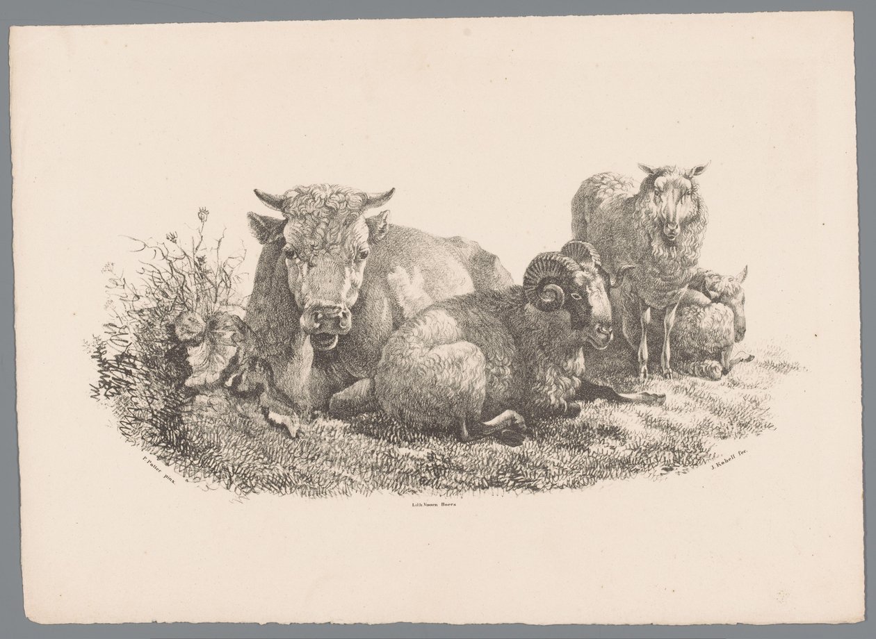 Kuh, Widder und zwei Schafe (Beesten Studien door J. Kobell naar Paul Potter Nr. 1) von Jan Kobell (III)