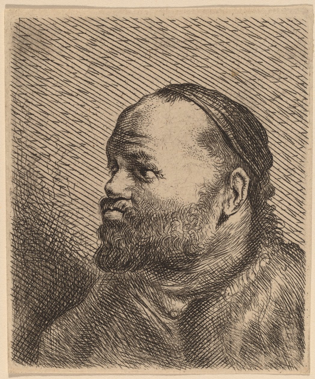 Büste eines Mannes mit dicken Lippen von Jan Lievens