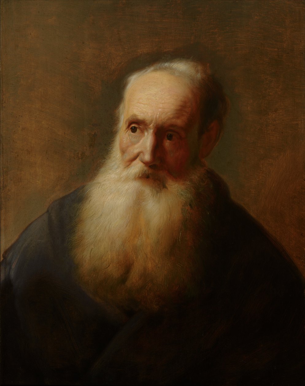 „Tronie“ eines alten Mannes von Jan Lievens