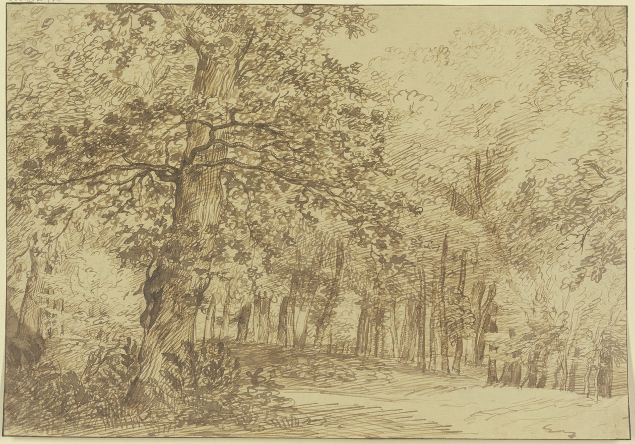 Waldpartie, links vom Weg eine große Eiche von Jan Lievens