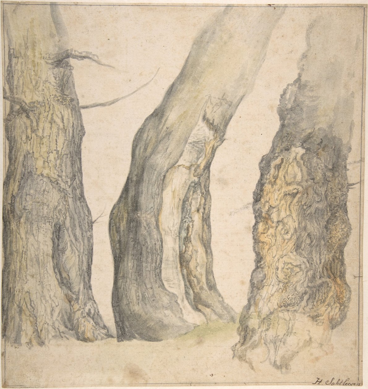 Studie von drei alten knorrigen Bäumen, 1660 von Jan Siberechts