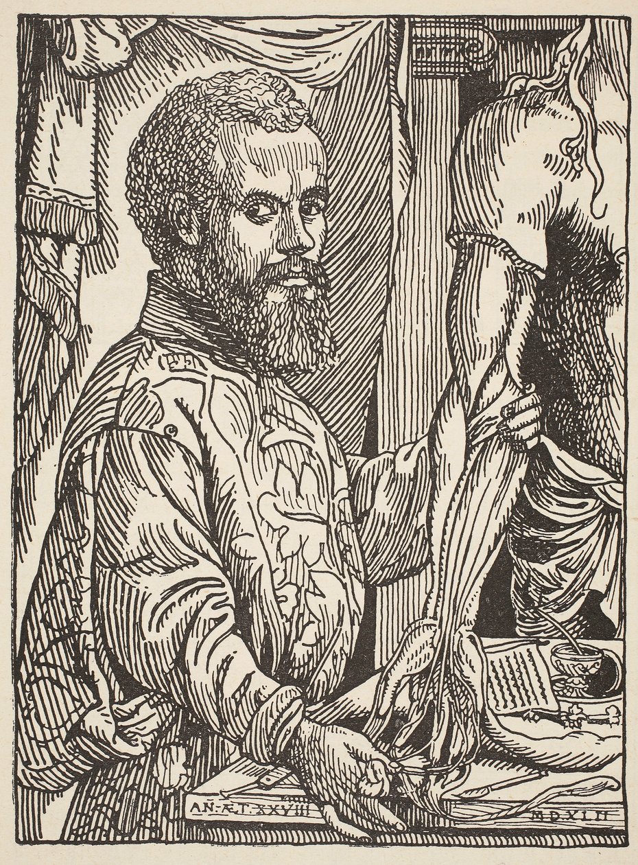Andre Vesale, Kopie von Boris Mestchersky (gest. 1957), Illustration aus Histoire de la Nation Francaise, Sciences, Bände I und II, von Gabriel Hanotaux (1853-1944), 1924 von Jan Stephen van Calcar
