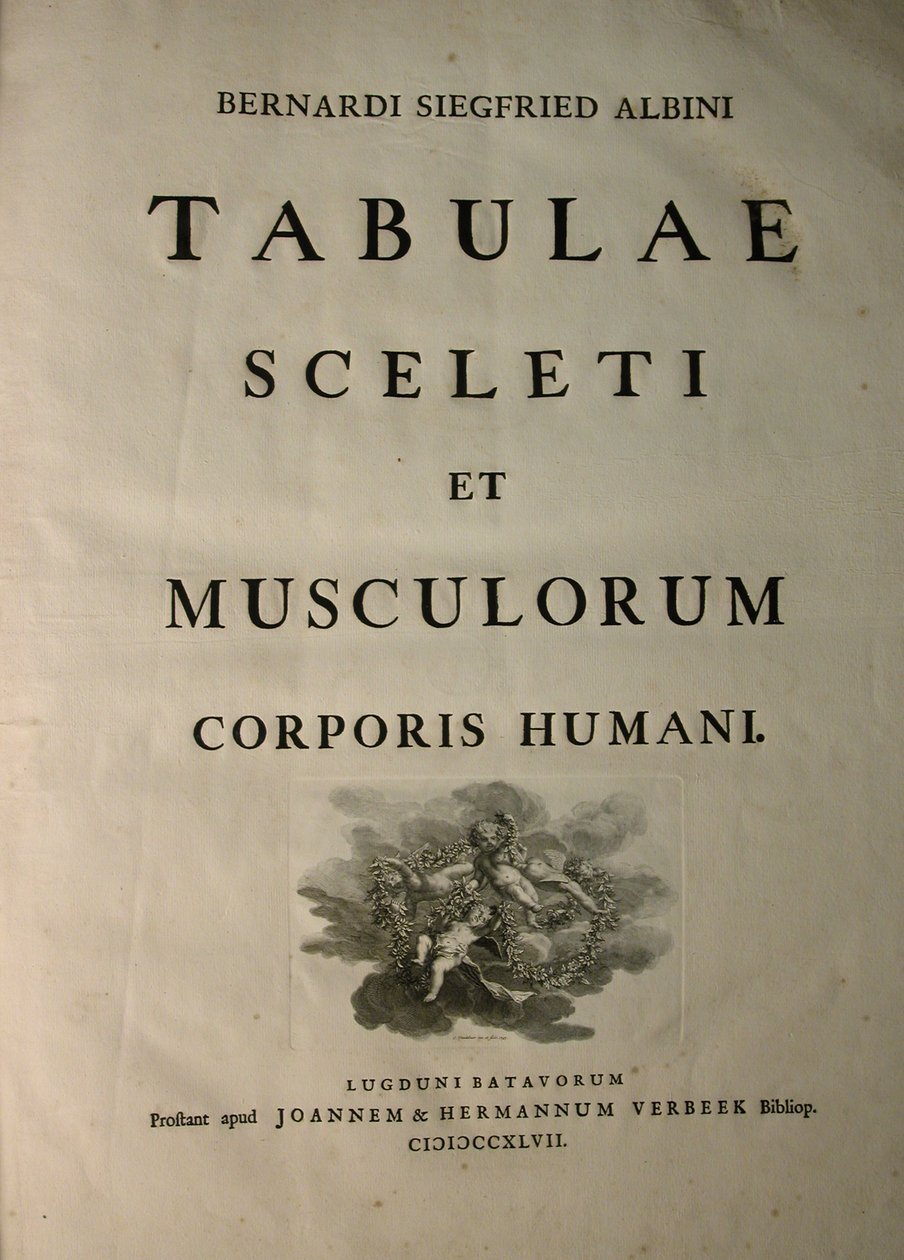 Albinus I, Titelseite, aus 