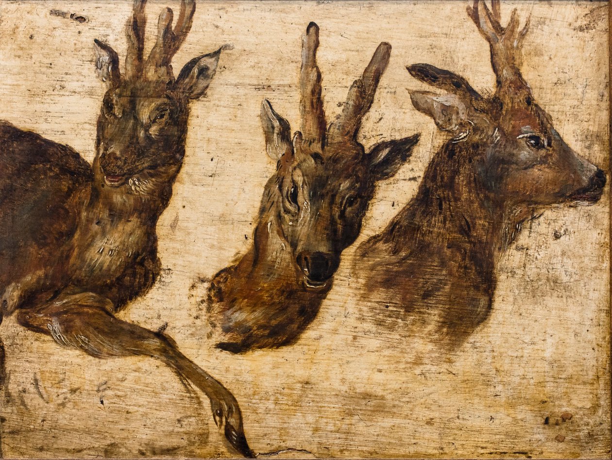 Brocades Kopf von Jan the Elder Brueghel