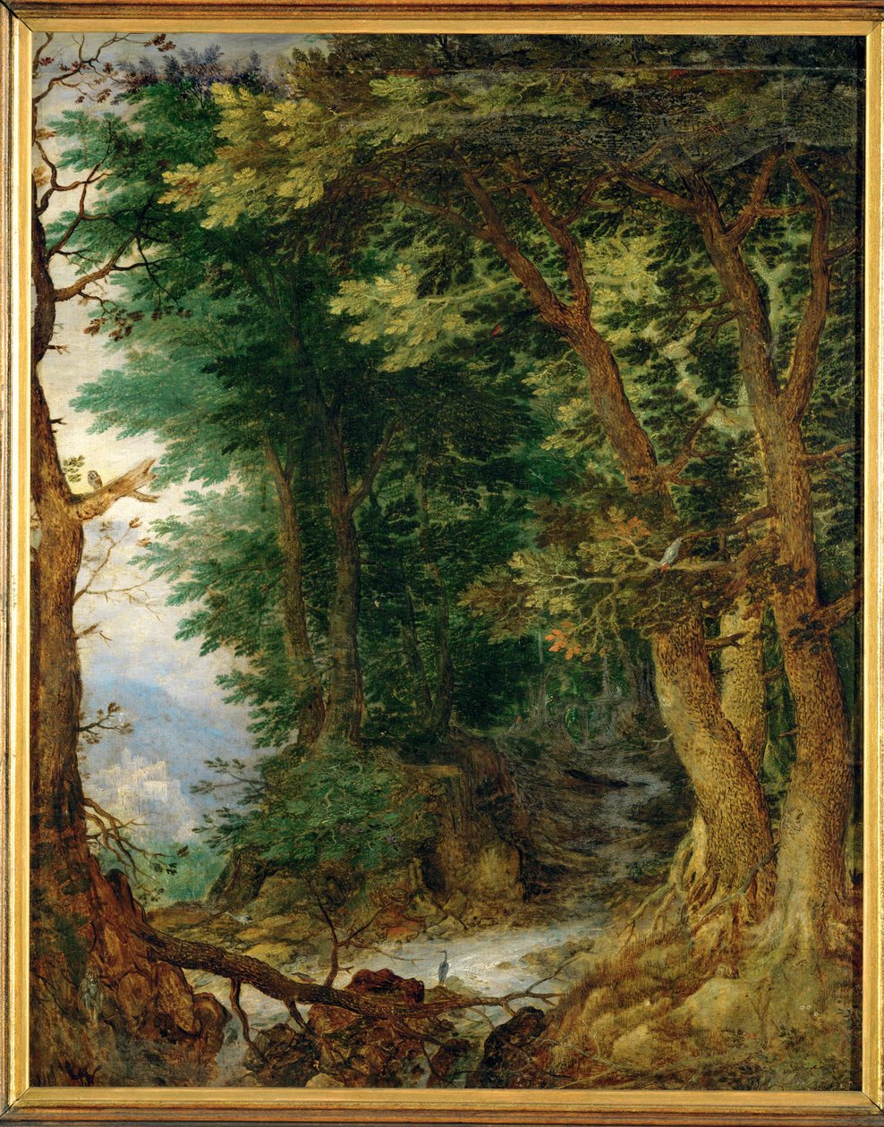 Landschaft mit Wald von Jan the Elder Brueghel