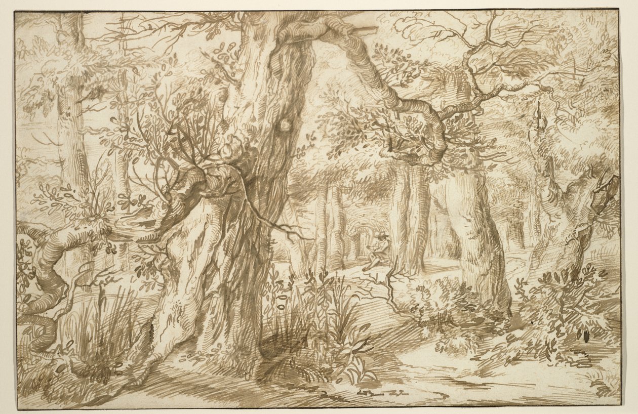 Waldinneres mit Zeichner, ca. 1664 von Jan the Elder Lievens