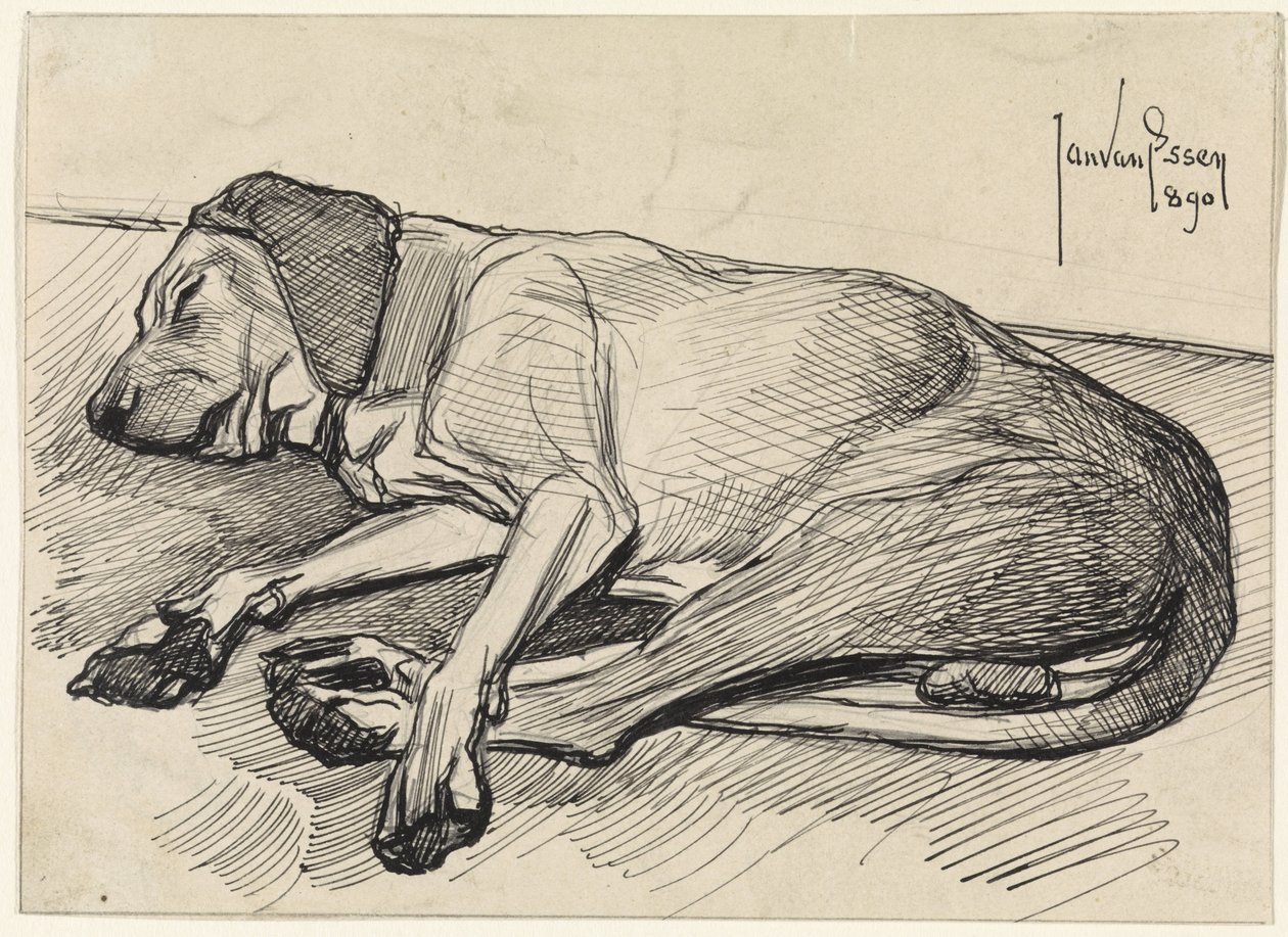 Schlafender Hund, nach links von Jan van Essen