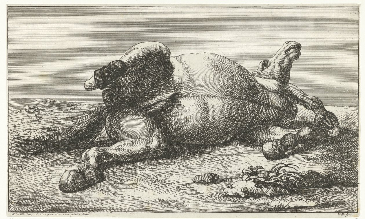 Gefallenes Pferd auf der linken Seite liegend von Jan van Huchtenburg