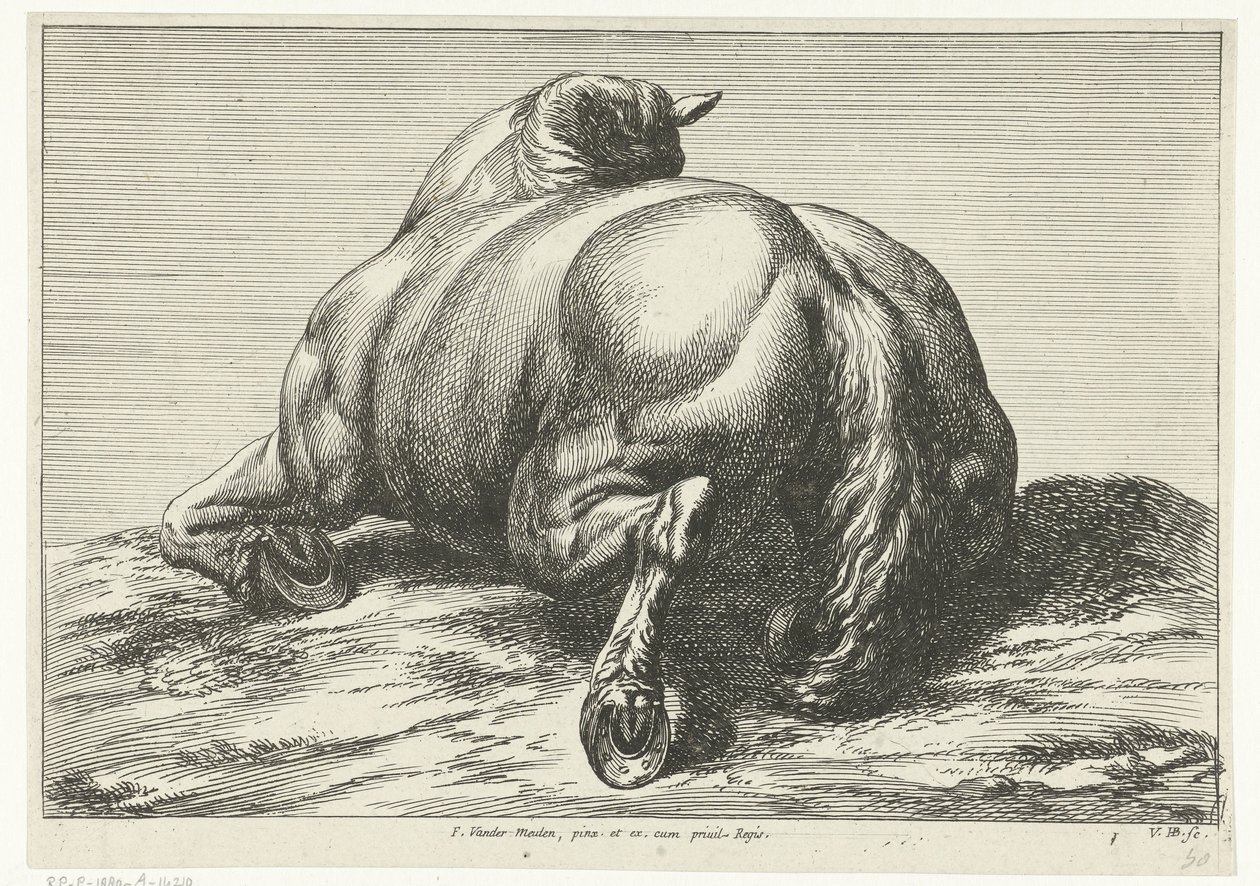 Gefallenes Pferd auf dem Rücken von hinten gesehen von Jan van Huchtenburg