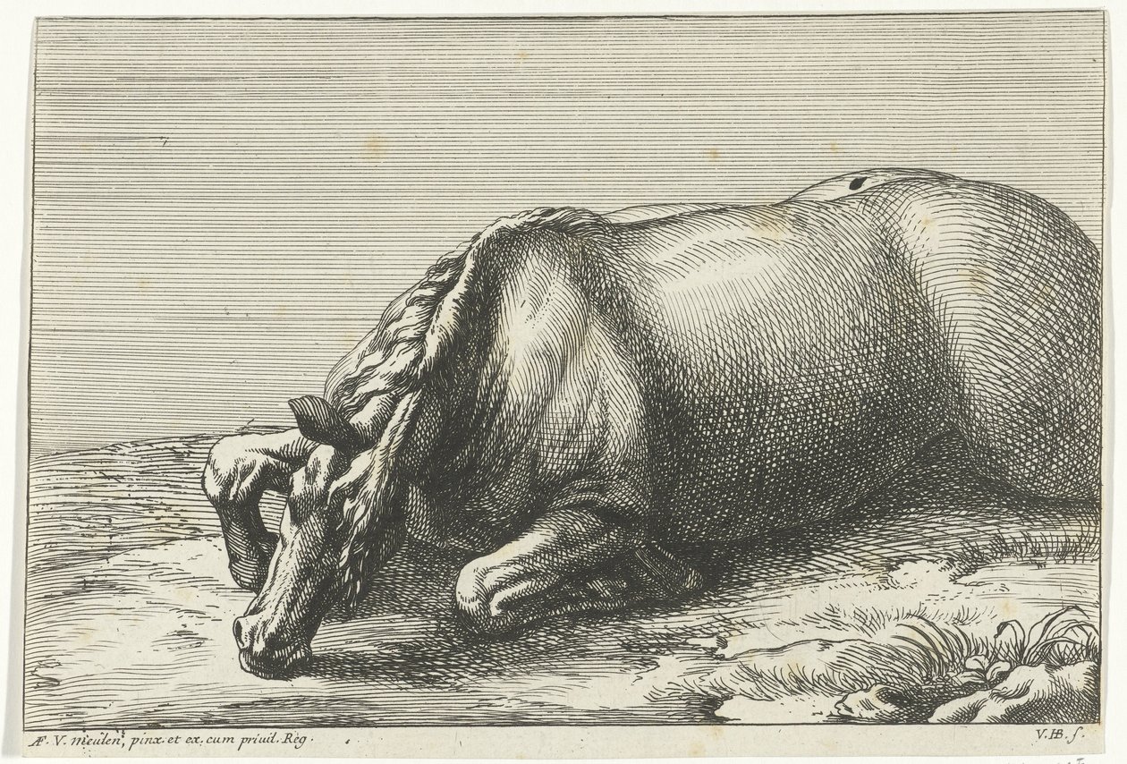 Gefallenes Pferd auf der linken Seite gesehen von Jan van Huchtenburg