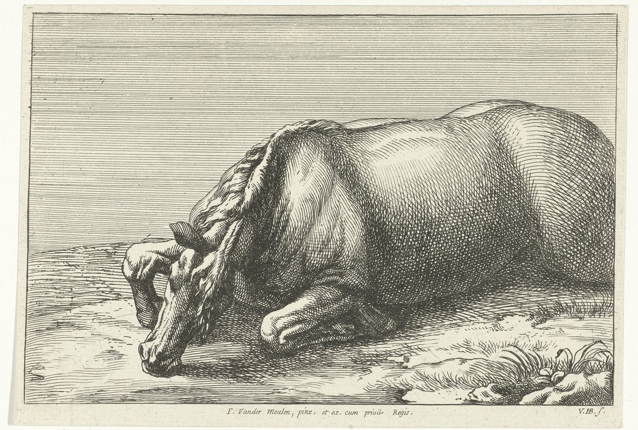 Gefallenes Pferd auf der linken Seite gesehen von Jan van Huchtenburg