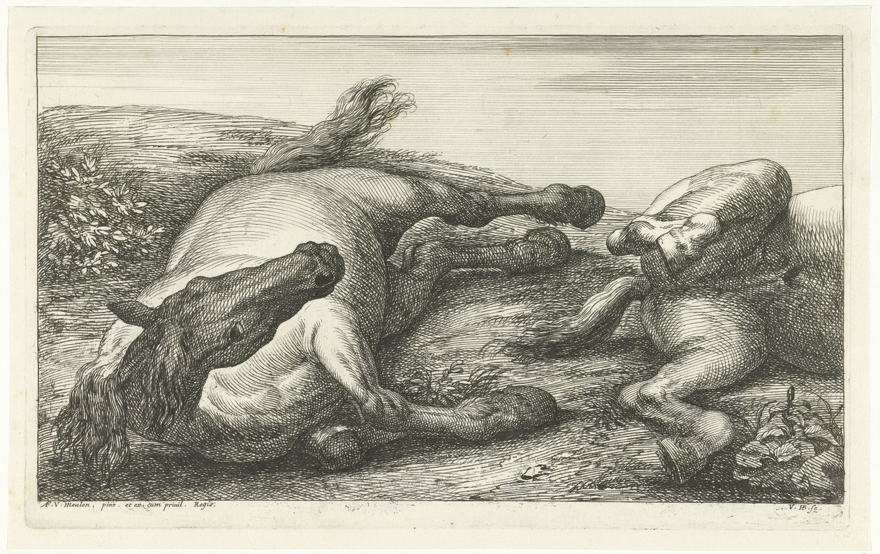 Zwei gefallene Pferde, das linke von vorne gesehen (Gefallene Pferde) von Jan van Huchtenburg