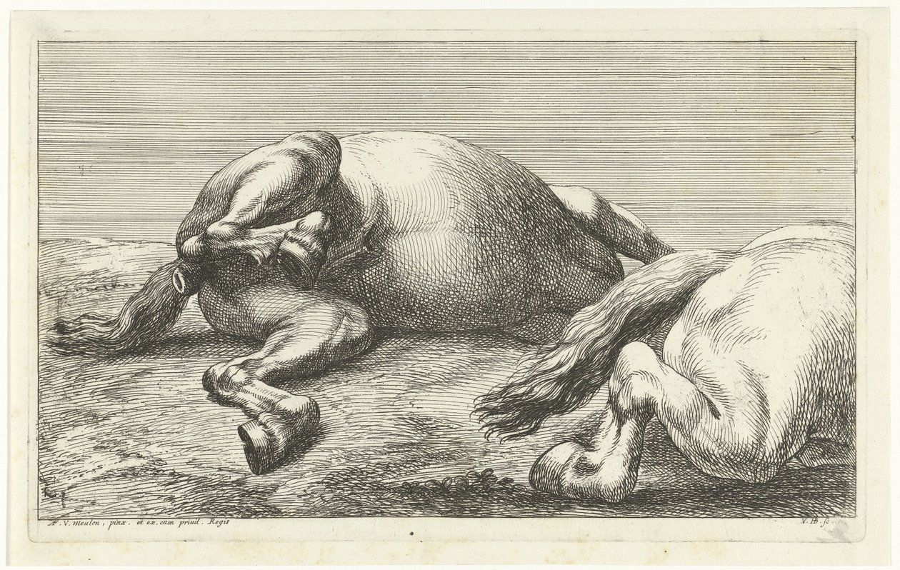 Zwei gefallene Pferde, von denen das rechte von der Seite gesehen wird von Jan van Huchtenburg