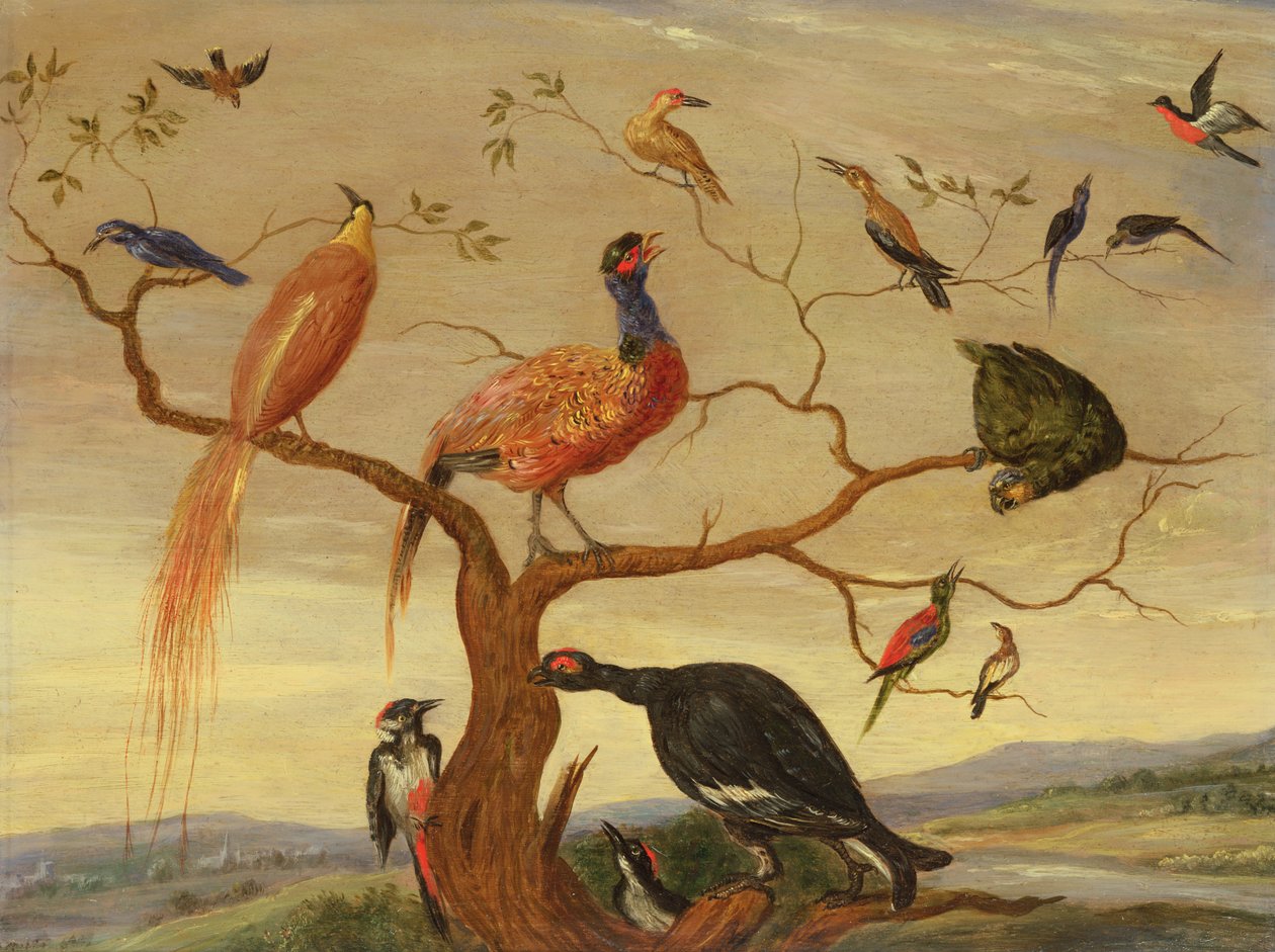 Ein Konzert der Vögel von Jan van Kessel the Elder