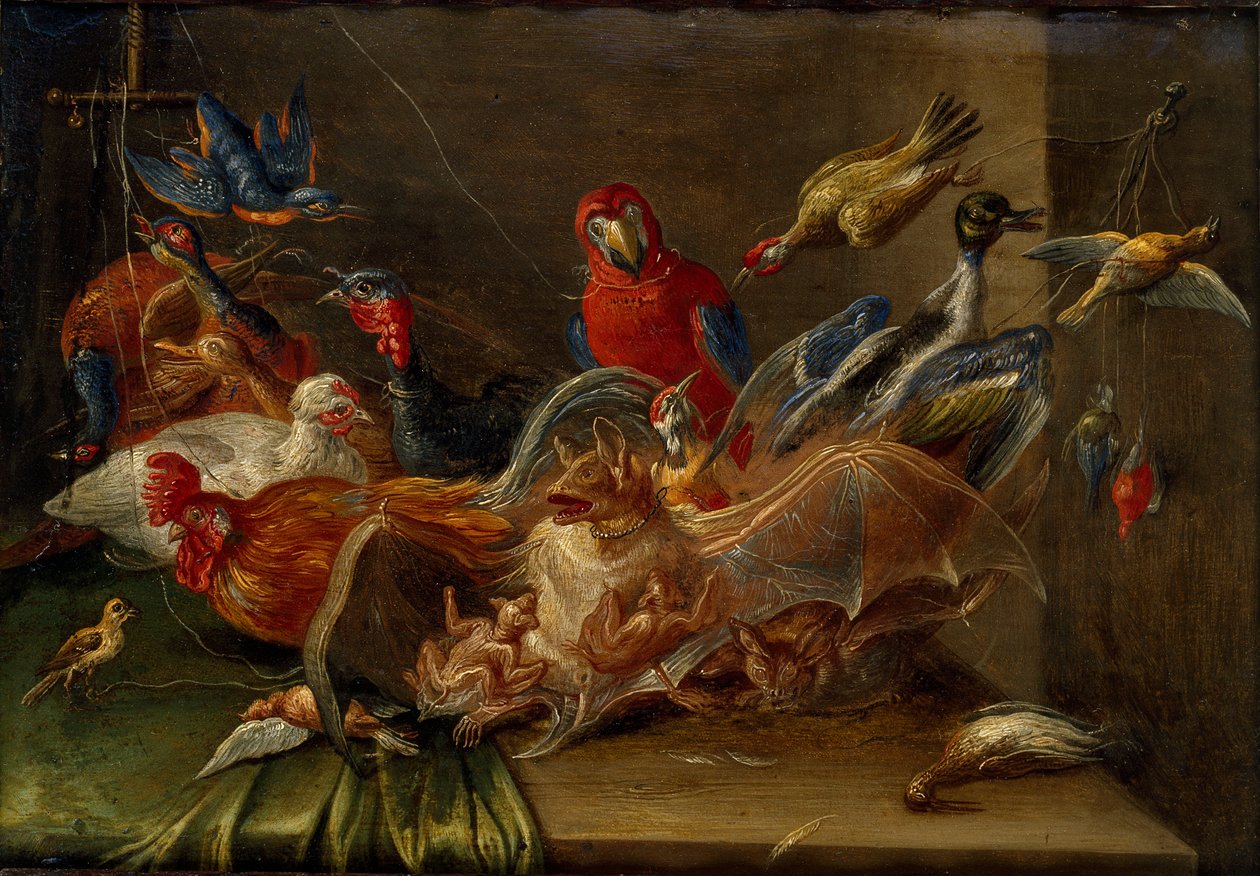 Dekorative Stillleben-Komposition mit Vögeln und zwei Fledermäusen, Mitte des 17. Jahrhunderts von Jan van Kessel