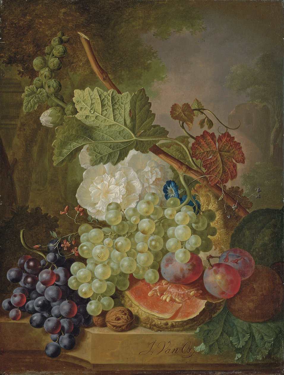 Blumen, Trauben, Pflaumen, Walnüsse und eine Melone auf einem Steinsims von Jan van Os