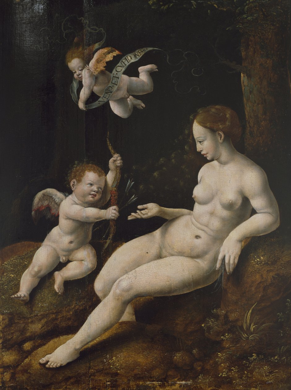 Venus und zwei Cupidos, ca. 1528 von Jan van Scorel