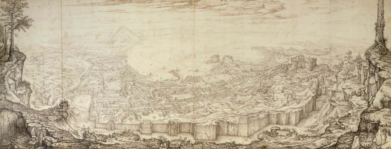 Blick auf Neapel von Jan van Stinemolen