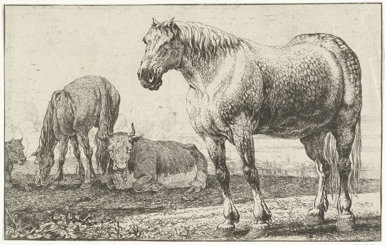 Pferde und Kühe
Tiere (Serientitel) von Jan van den Hecke