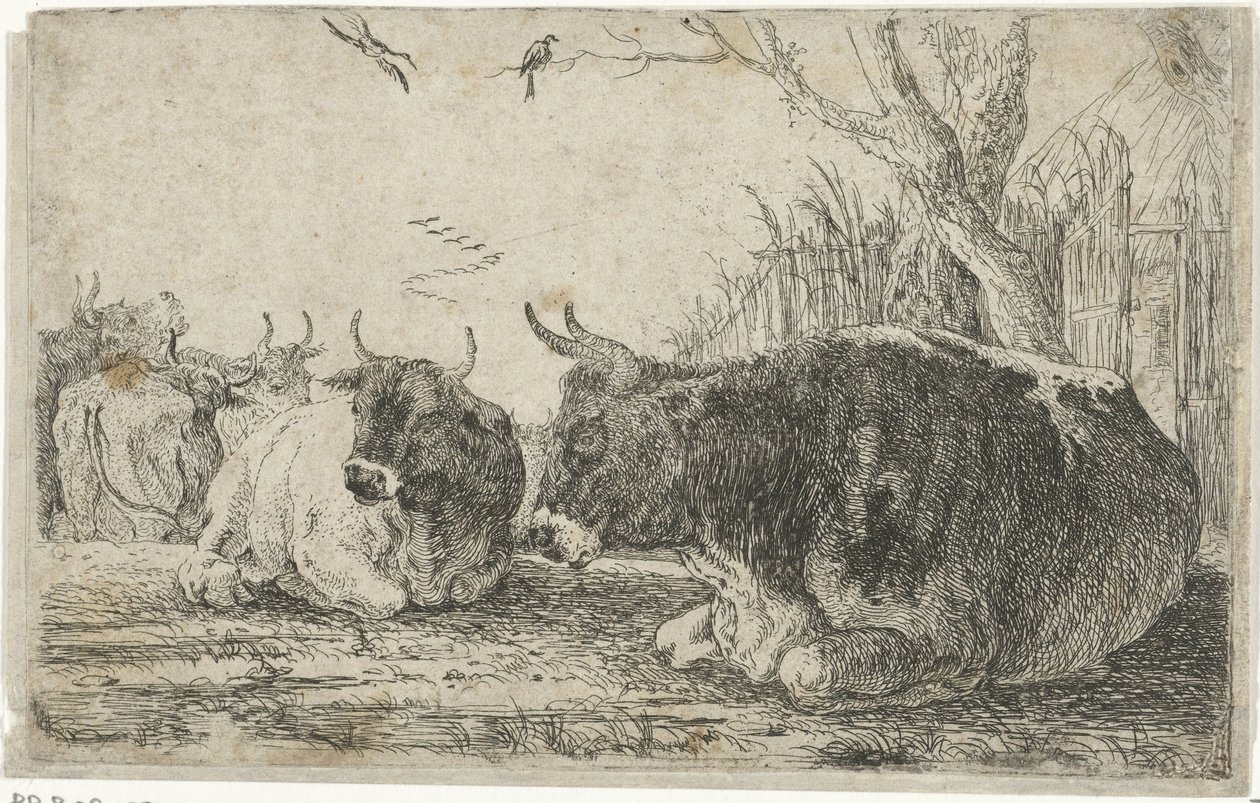 Ruhende Kühe von Jan van den Hecke