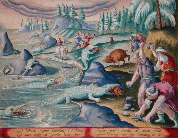 Krokodile fangen am Ufer des Nils mit angebundenen Schweinen als Köder, Tafel 87 aus 