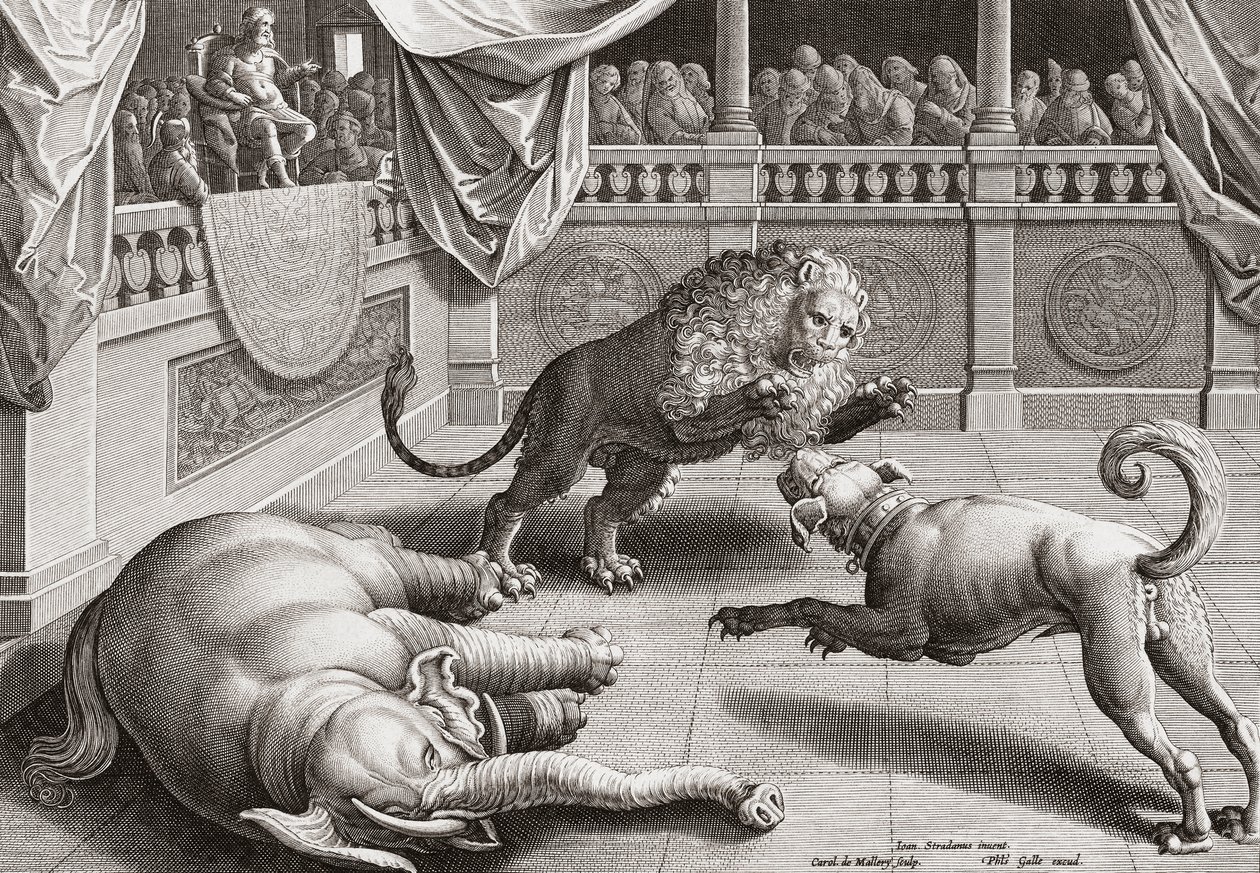 Alexander der Große beobachtet Tierkämpfe, 16. Jahrhundert von Jan van der 1523 1605 after Straet