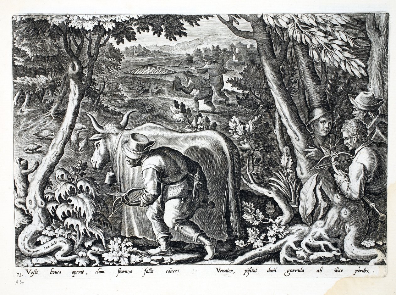 Jagd auf Stare und Rebhühner, Illustration aus 