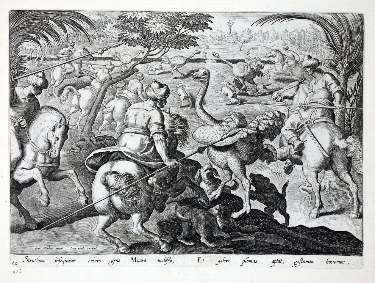Mauren zu Pferd jagen Strauße, Tafel 62, Illustration aus 