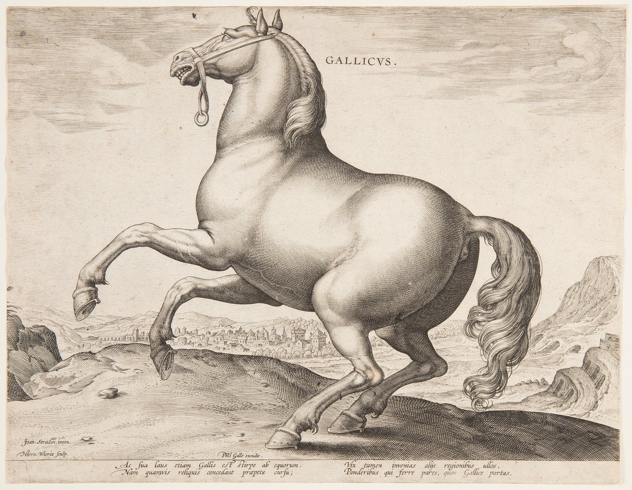 Ein französisches Pferd, aus dem ersten Satz von "Equile Joannis Austriaci" von Jan van der Straet, called Stradanus