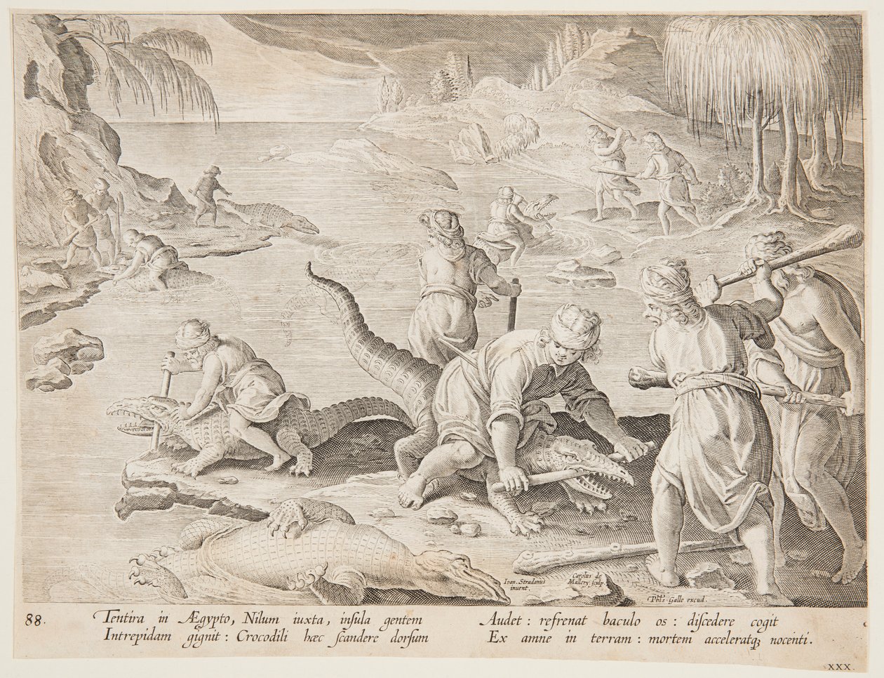 Krokodiljagd in Tentyra, in Ägypten, Tafel 30 aus der Serie Venationes Ferarum, Avium, Piscium von Jan van der Straet, called Stradanus