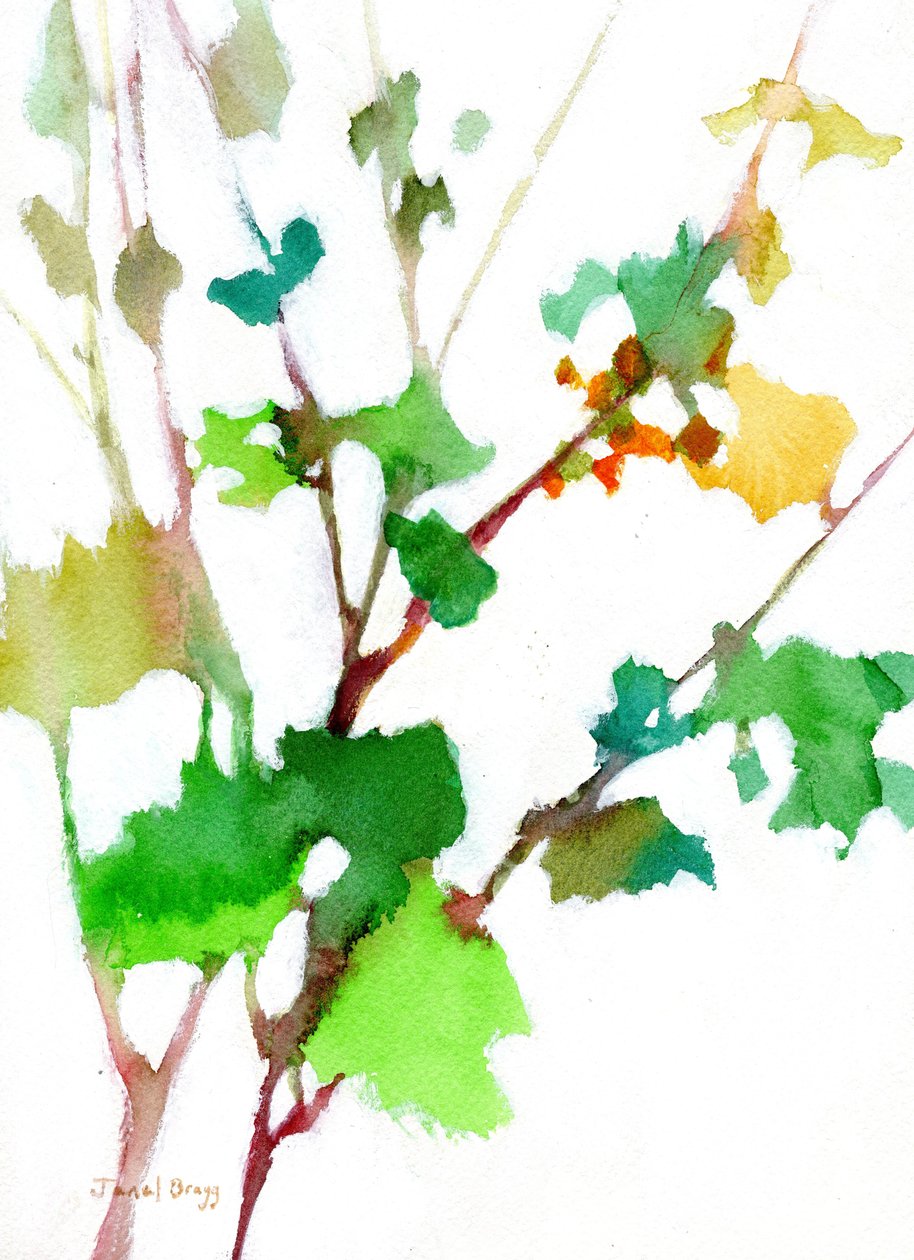 Botanisch aus dem Innenhof von Janel Bragg