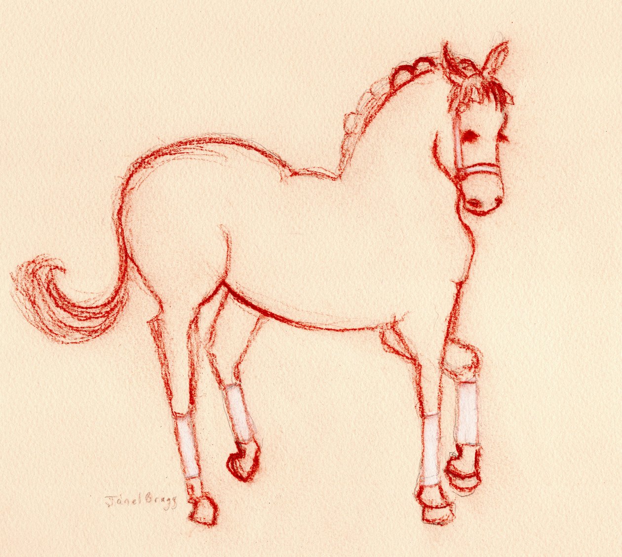 Tanzendes Pferd bei der Parade, ca. 2024 von Janel Bragg