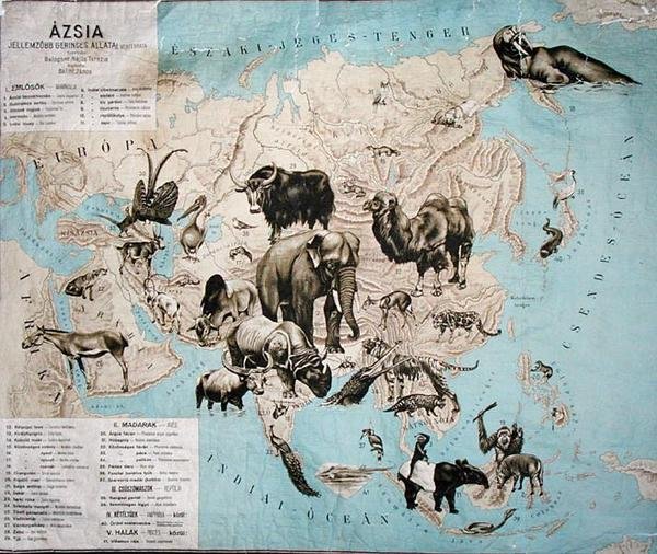 Karte der Tiere in Asien und dem Fernen Osten von Janos Balint