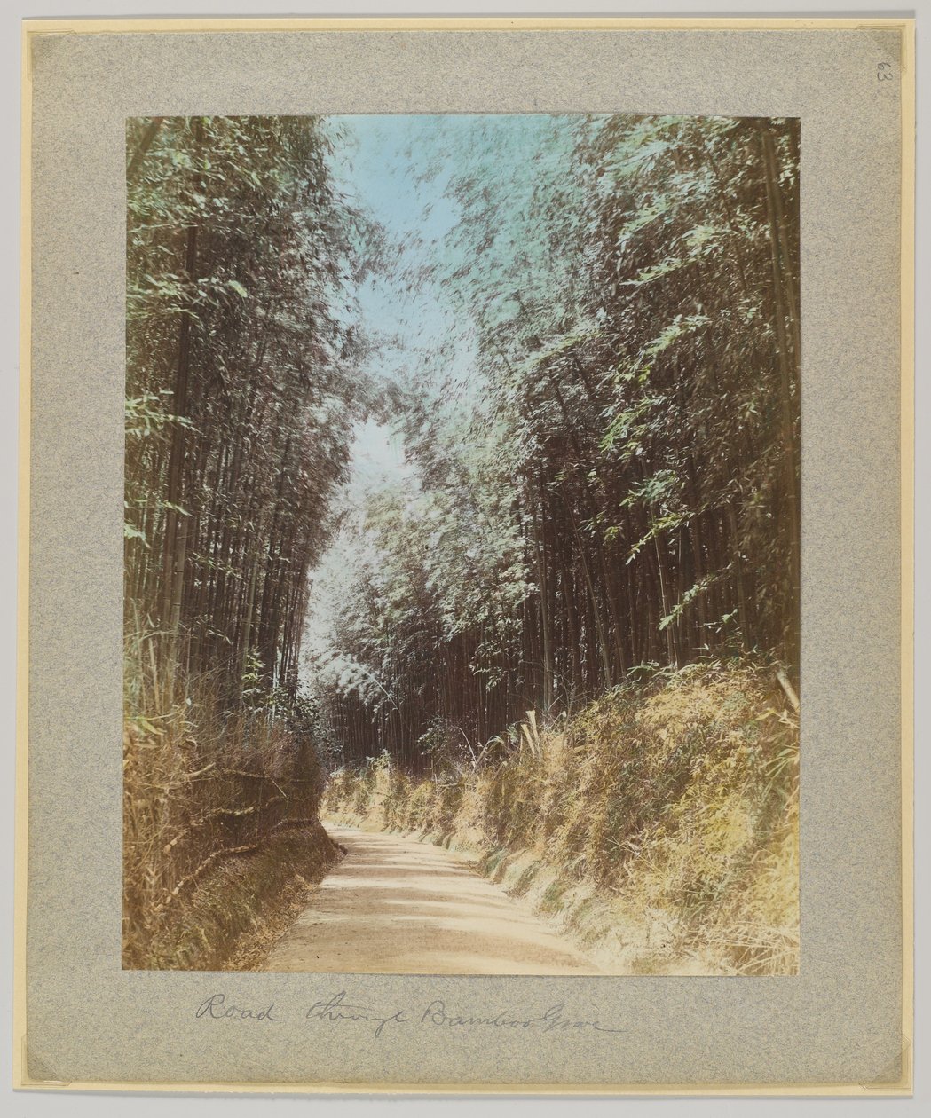 Straße durch einen Bambushain, Japan von Japanese Photographer