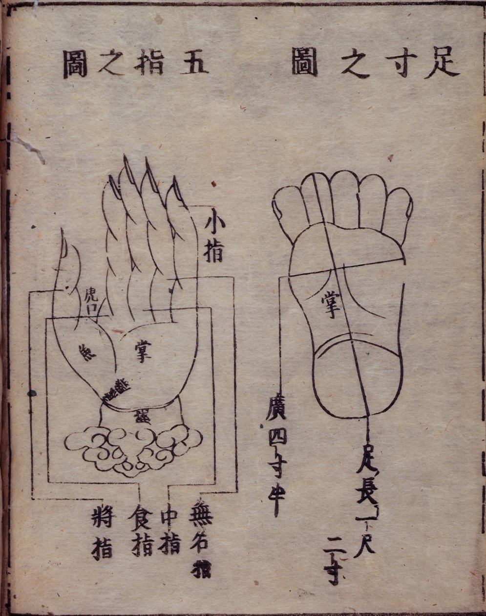 Diagramm der Akupunkturpunkte in Händen und Füßen, aus einem japanischen Kommentar zu einem chinesischen Werk über Akupunktur, dem Shisijing fahui von 1341 von Hua Shou, Kyoto von Japanese School
