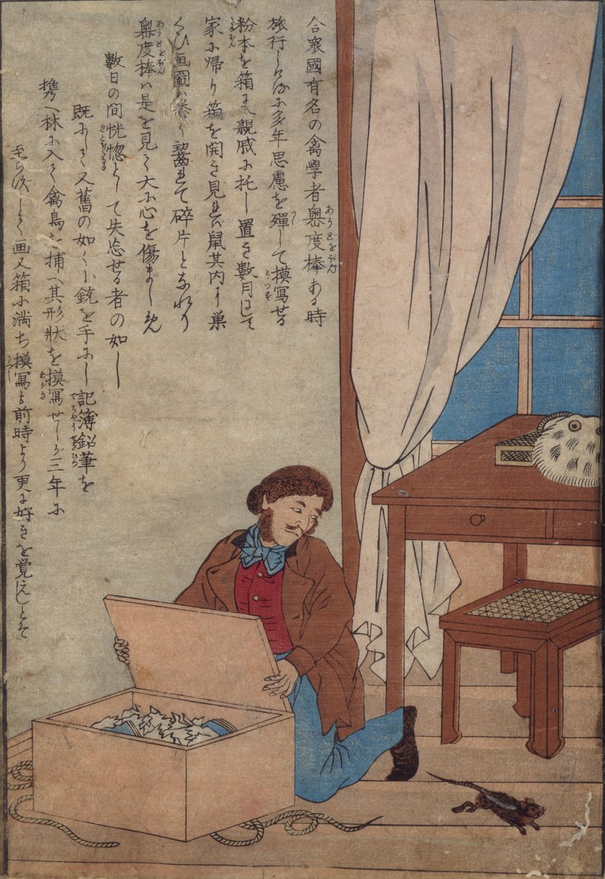 Audubon öffnet seine von Norwegischen Ratten zerstörten Aquarellkästen, ca. 1872-77 von Japanese School