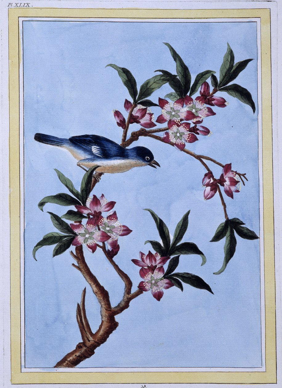 Vogel - Japanischer Druck von Japanese School